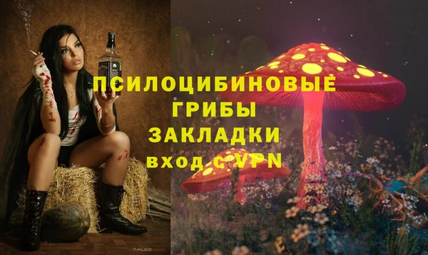 МДПВ Карталы