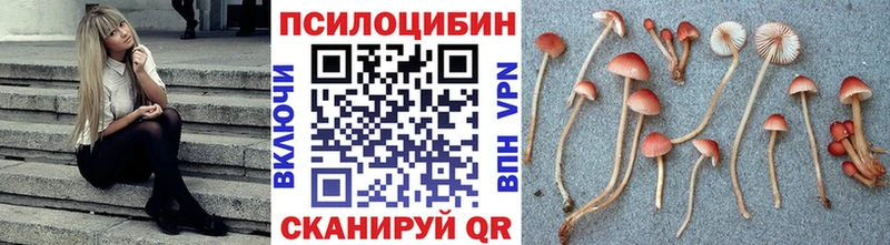 Псилоцибиновые грибы MAGIC MUSHROOMS Элиста